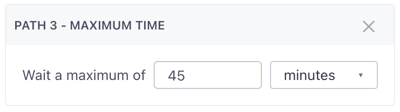 Within Path 3 of the Wait Until, choose 45 for the counter and minutes from the dropdown for Max Time.